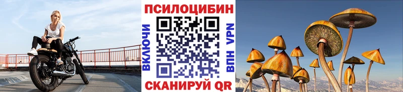 где продают наркотики  Мглин  Псилоцибиновые грибы Cubensis 
